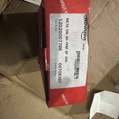 RK76 DN80 FPM SF200 GESTRA杰斯特拉止回阀工业阀门议价维修