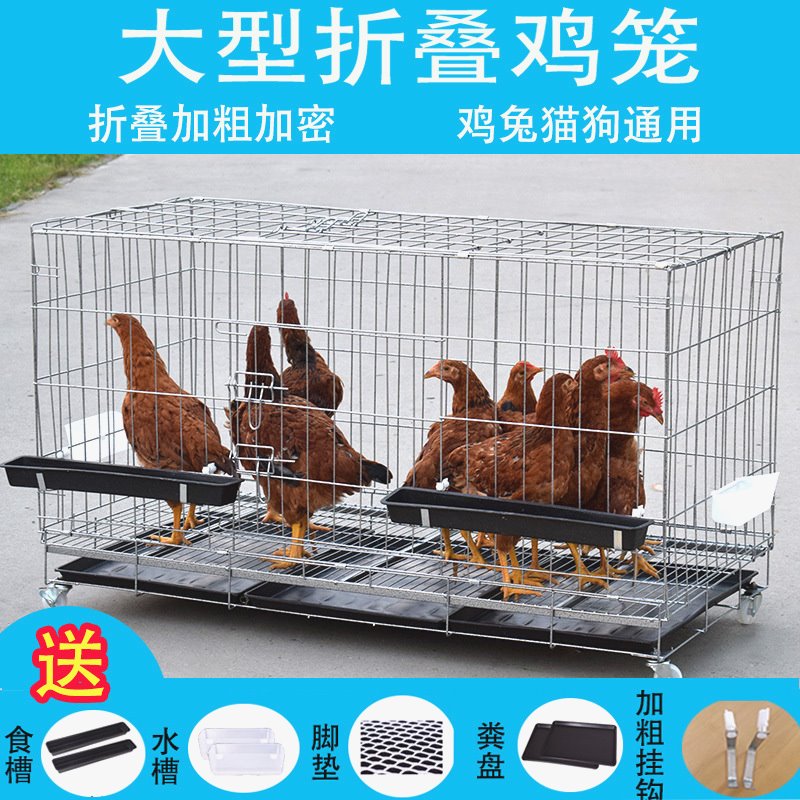 鸡笼家用养殖鸡笼运输笼大号鸡笼子母鸡笼管蛋鸡笼代发专用