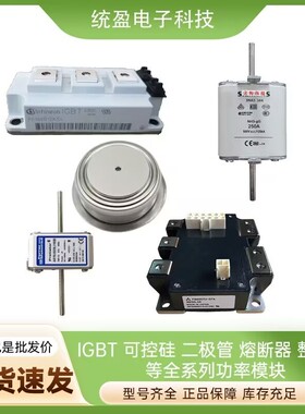 法国熔断器A070UD33LI900 Q300233 A070UD33LI1000 R300234