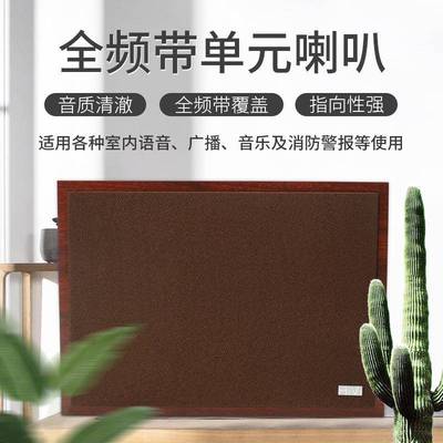 Hivi/威19104T101惠定压壁挂喇叭教室挂壁音箱店铺工程木质广播音