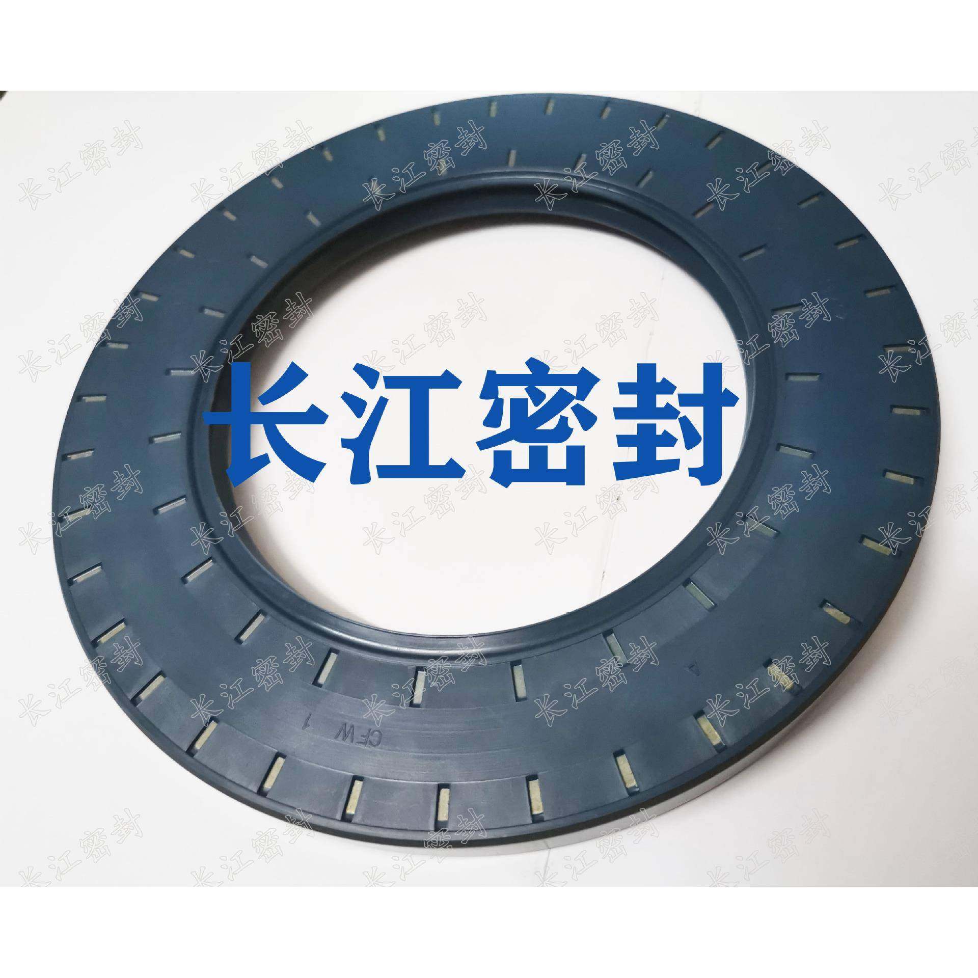 德国SIMR1IT封CFWBAUSLX2BAU6S2LX120-180-2120-14油0-13进口骨架