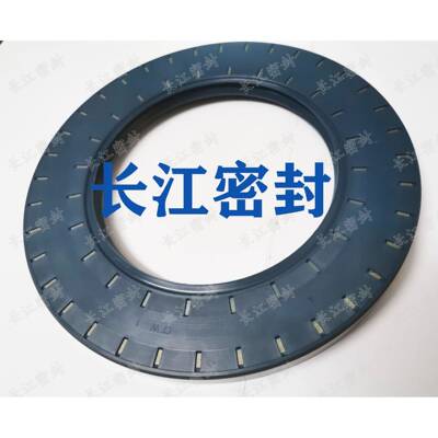 德国SIMR1IT封CFWBAUSLX2BAU6S2LX120-180-2120-14油0-13进口骨架