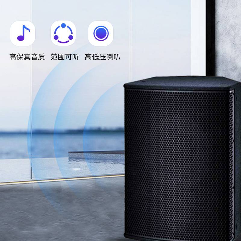 专业音响户外大型演出舞台演出喇叭音箱扬声器会议室音箱全频音箱