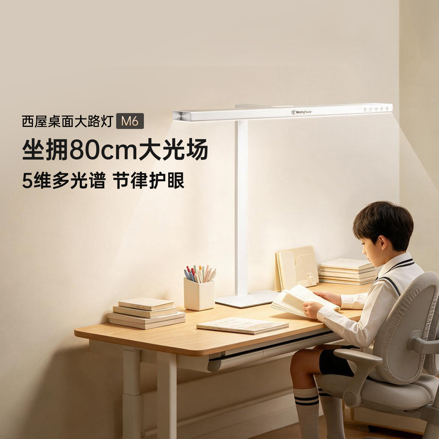 西屋全光谱桌面大路灯M6