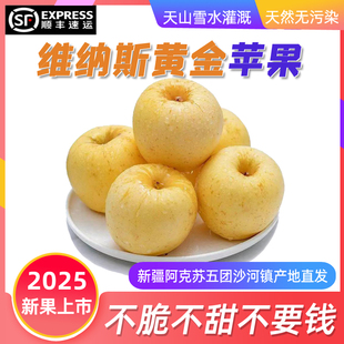 【顺丰包邮】阿克苏维纳斯黄金苹果天山雪水灌溉产地直发脆甜爽口