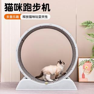 跨境貓咪跑步機(jī)狗狗健身運(yùn)動(dòng)靜音貓爬架貓玩具貓跑輪大型寵物用品