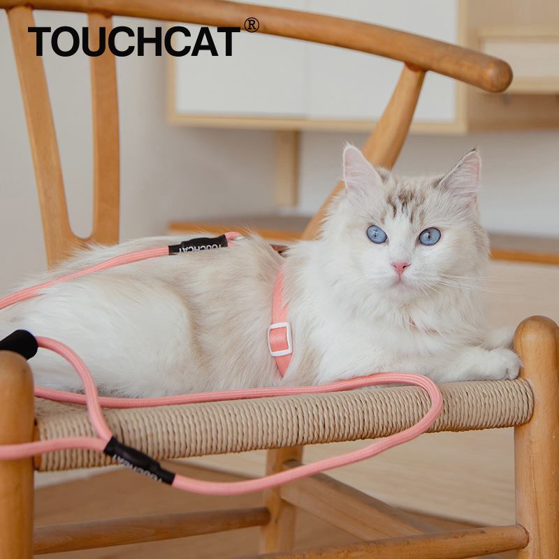 Touchcat它它猫咪牵引绳遛猫绳胸背心式防挣脱工字幼猫链子溜猫绳