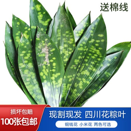 四川产地直销现割现发送棉线有坏包赔