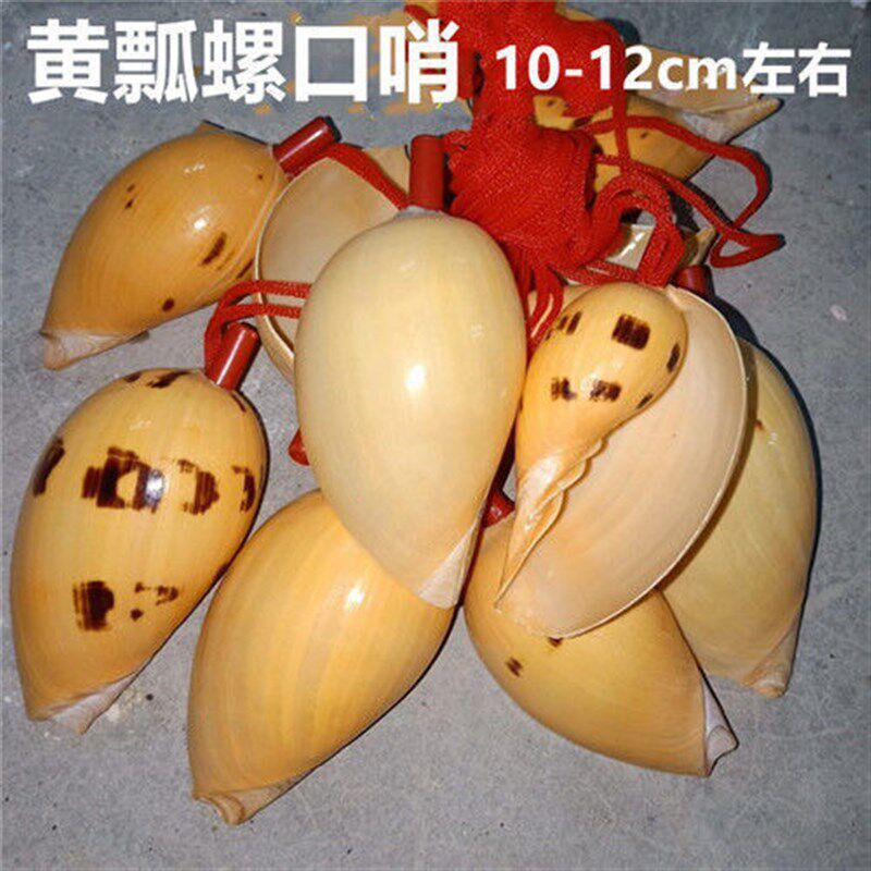 速发速发海螺号角可哨子青岛纪小品海螺贝壳哨子儿童玩具哨念兰之
