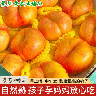 山东黄油蟠桃彩虹新鲜水果蒙阴蜜桃当季整箱扁桃孕妇大果黄心脆桃