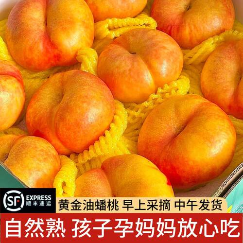 【当天摘当天发】2026头茬蟠桃