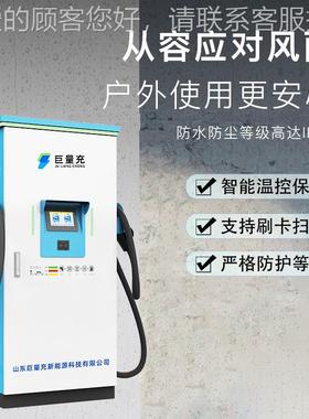 新能源重瓦型汽车大40960功率充电桩 240千快充双枪直流商卡用充