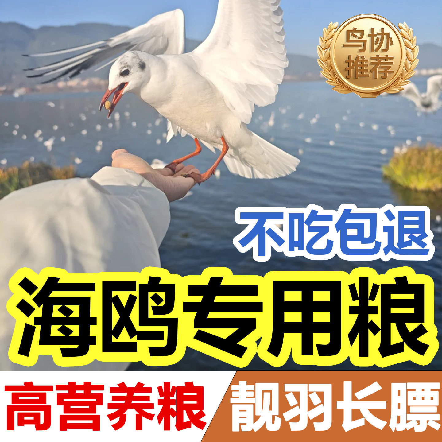海鸥专用粮喂海鸥的食物面包红嘴鸥鸥饲料粮喂鸟的虫子鸟吃的小米,宠物/宠物食品及用品,鸟食,淘宝优惠券,粉丝福利购,淘宝优惠卷