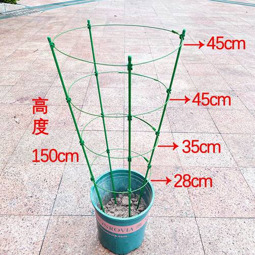 昙花专用支架爬藤花架月季蟹爪兰