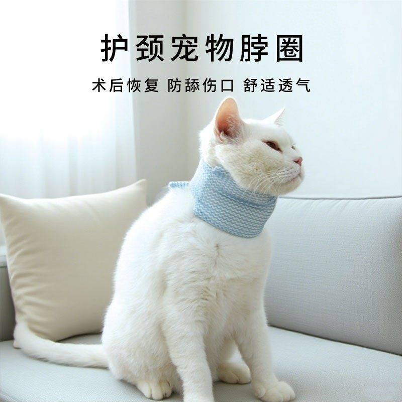 宠物护颈脖套宠物伊丽莎白圈小猫咪项圈支撑脖子保护伤口防舔防咬,宠物/宠物食品及用品,宠物伊丽莎白圈,淘宝优惠券,粉丝福利购,淘宝优惠卷