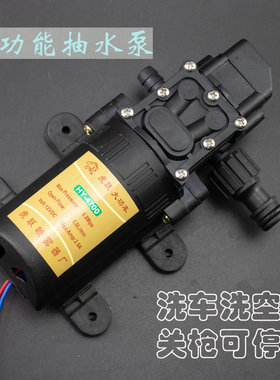速发洗车洗空流雾化除尘微温12v直调多功能水泵降小型高压泵关枪