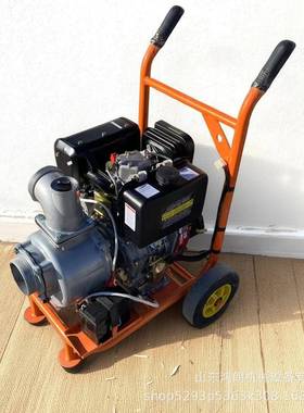 汽油机离心泵6寸风水冷192柴19580油车款抽抽水泵推清理污水泵