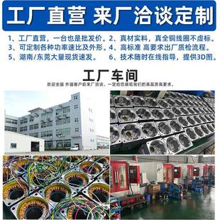 1LIJ20w小直流减速无刷型电机大微型超高速扭矩调速马达220v24v