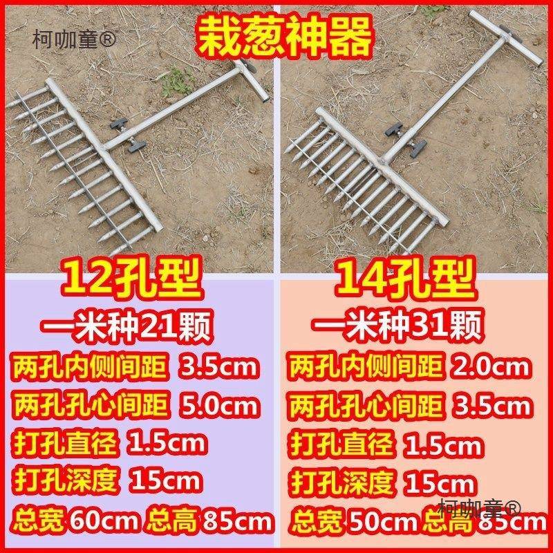 种菜种机器大蒜工具栽葱植RSJ小播型大葱打孔器种葱种机移太苗洋