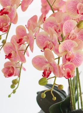 10枝款大盆蝶F75999J6兰花装酒店大堂套摆设客放厅摆公司前台摆蝴