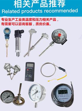 耐高温K厂热电2520不锈钢310型S上海工偶业1300度砖窑HYC炉三测温