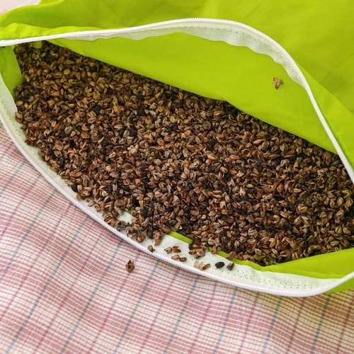 2025新款新品花毛巾绣全边麦枕枕芯35*5ADL5头cm/只荞组合图