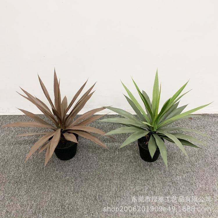 仿真绿植多肉盆植栽真小剑物兰假绿植餐厅酒吧热带794植装饰仿绿