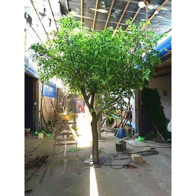 仿口真幸福树室内外摆放43330超市门物点观景赏仿真绿化植仿真树