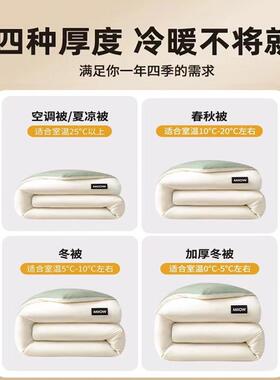 原棉纯色大豆纤维被春被亲肤加厚被芯人单双CZV宿舍秋学生被冬被