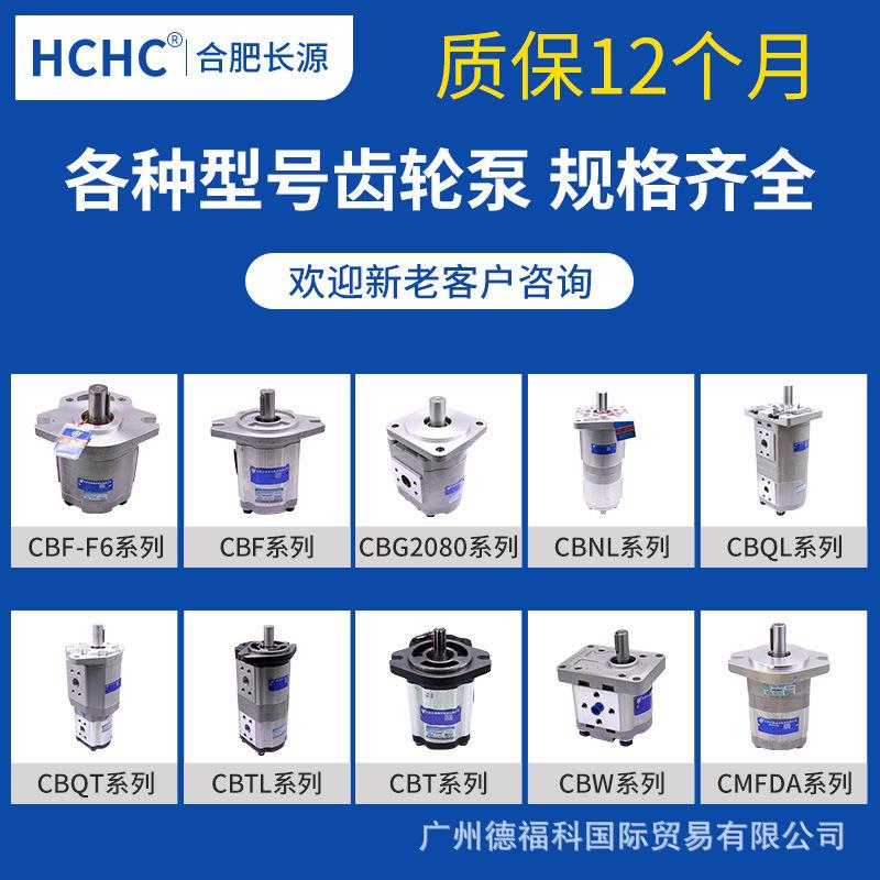 双联齿轮泵CBK1012B/10-1BFLCBK1012/10-B2FLOJYC2K101/10-B3FL