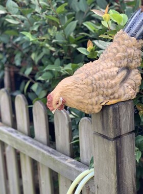 速发庭院休栏装饰创意名宿围闲农场场景花镜装饰户外动物花园鸡摆