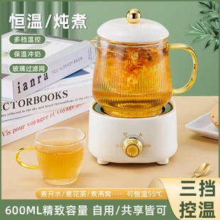 煮茶壶2023新款玻璃炖煮养生壶办公室小型迷mini多功能一人养生杯
