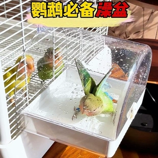 外挂式鹦鹉澡盆夏日自主洗澡养鸟用具用品创意家用多功能鸟笼配件