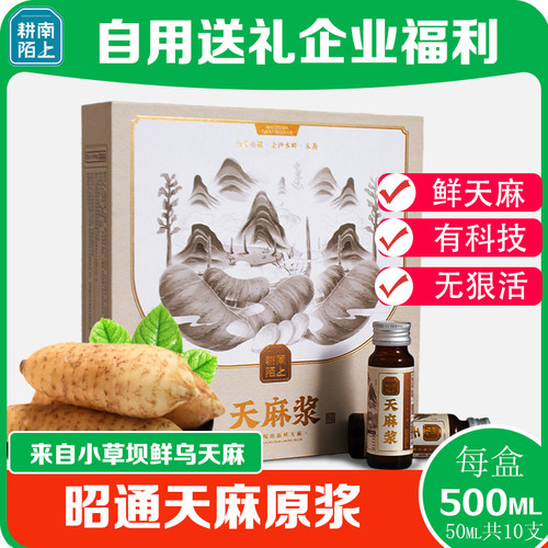 草本植物功能低糖饮料昭通新鲜小草坝天麻浆口服液50ml*10支礼盒