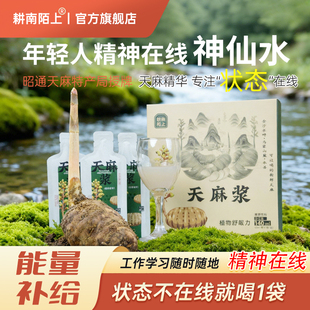 云南正宗昭通小草坝鲜乌天麻浆口服液健康植物饮料即开饮品140ml