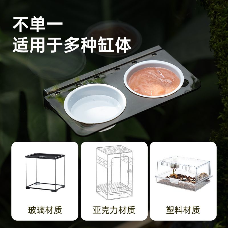 爬宠果泥盆树栖睫角守宫甲虫树蛙磁吸防滑喂食台爬虫饲养箱造景
