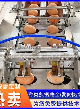 鸡蛋蛋黄蛋白分机 连续双打蛋离食品烘JVN焙蛋液提排取设备敲蛋机