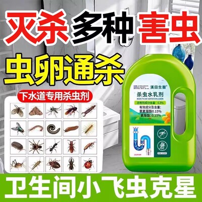 【小飞虫克星】下水道厕所地漏杀虫剂灭杀害虫蚊虫收纳整理G
