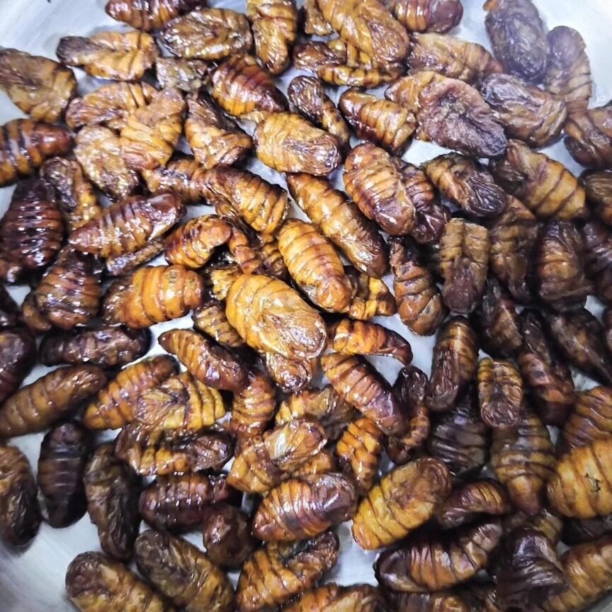 沂珍源【超】香酥蚕蛹开袋即食山东特产下酒菜油炸新鲜蚕蛹