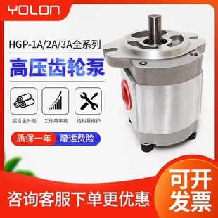 12R 齿轮泵液压油泵总成高压润滑系统专用泵HGP1A