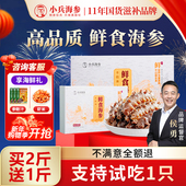 小兵海参鲜食即食海参小兵海参官方旗舰店辽刺参化冻即食独立包装
