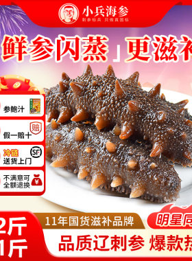 鲜食即食海参官方店辽刺参海参鲜活独立包装化冻即食【备用】