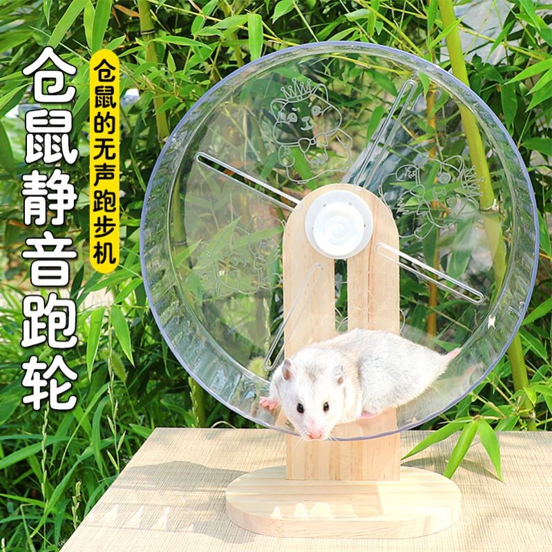 仓鼠透明加宽跑轮带支架玩具