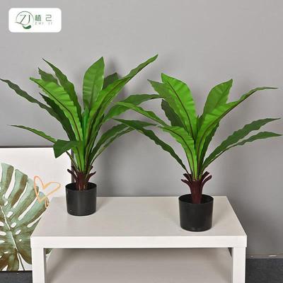 zj84651真植鸟巢叶盆栽手景感绿植软装摆件家居室内仿造装饰绿落