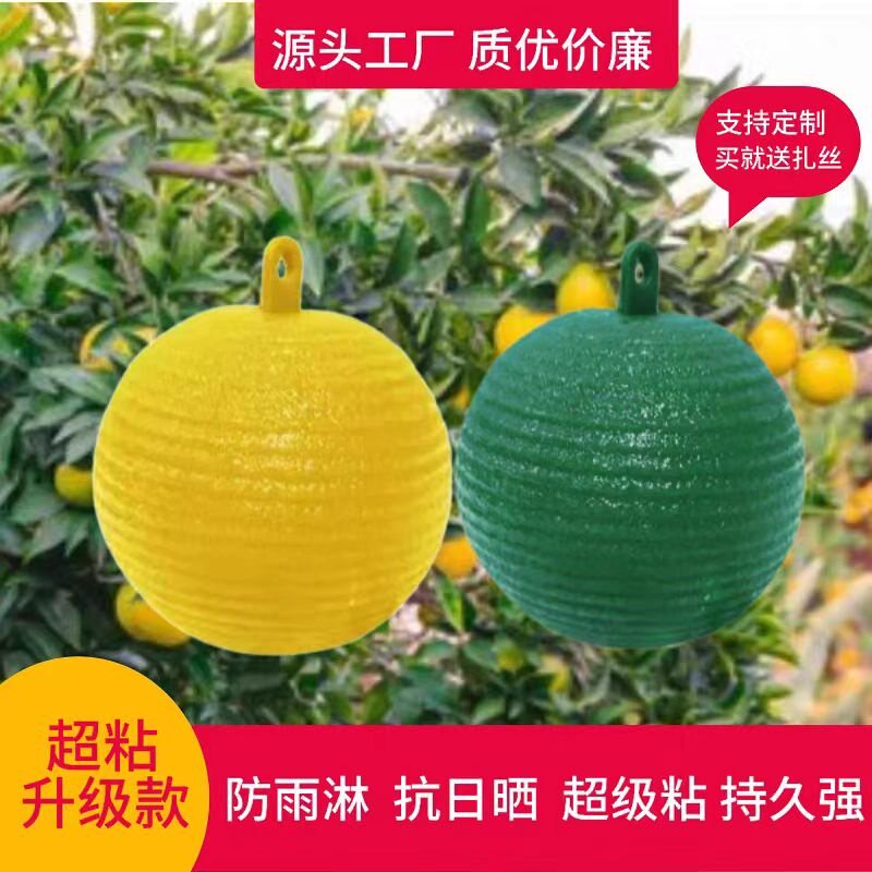 诱蝇球粘虫球果实蝇果蝇粘虫柑橘丝瓜果蔬树实蝇针锋诱粘球诱捕器