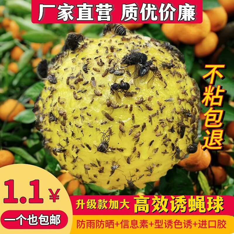 果园诱蝇球粘虫球果实蝇防虫柑橘瓜果树实蝇针锋诱粘球昆虫诱捕器
