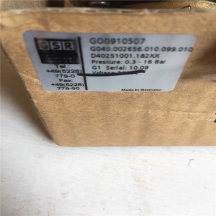 G040.002656.010. GO0910507 GSR 议价 汇生