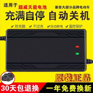 电动车电瓶充电器48V12AH20AH60V72伏爱玛雅迪小刀电车三轮车通用