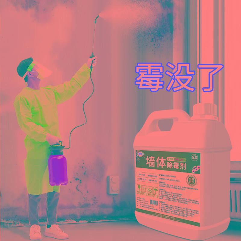 墙体除霉剂白墙清除霉斑霉菌家用墙纸壁纸霉迹发霉清洁去霉剂神器