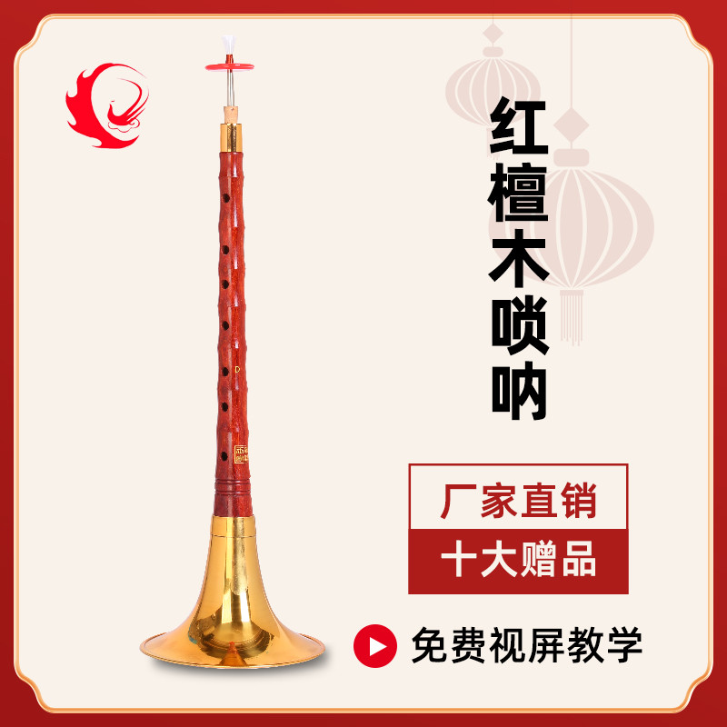 王家彪红檀木唢呐乐器初学者D调降B调全套专业喇叭大小演奏型精